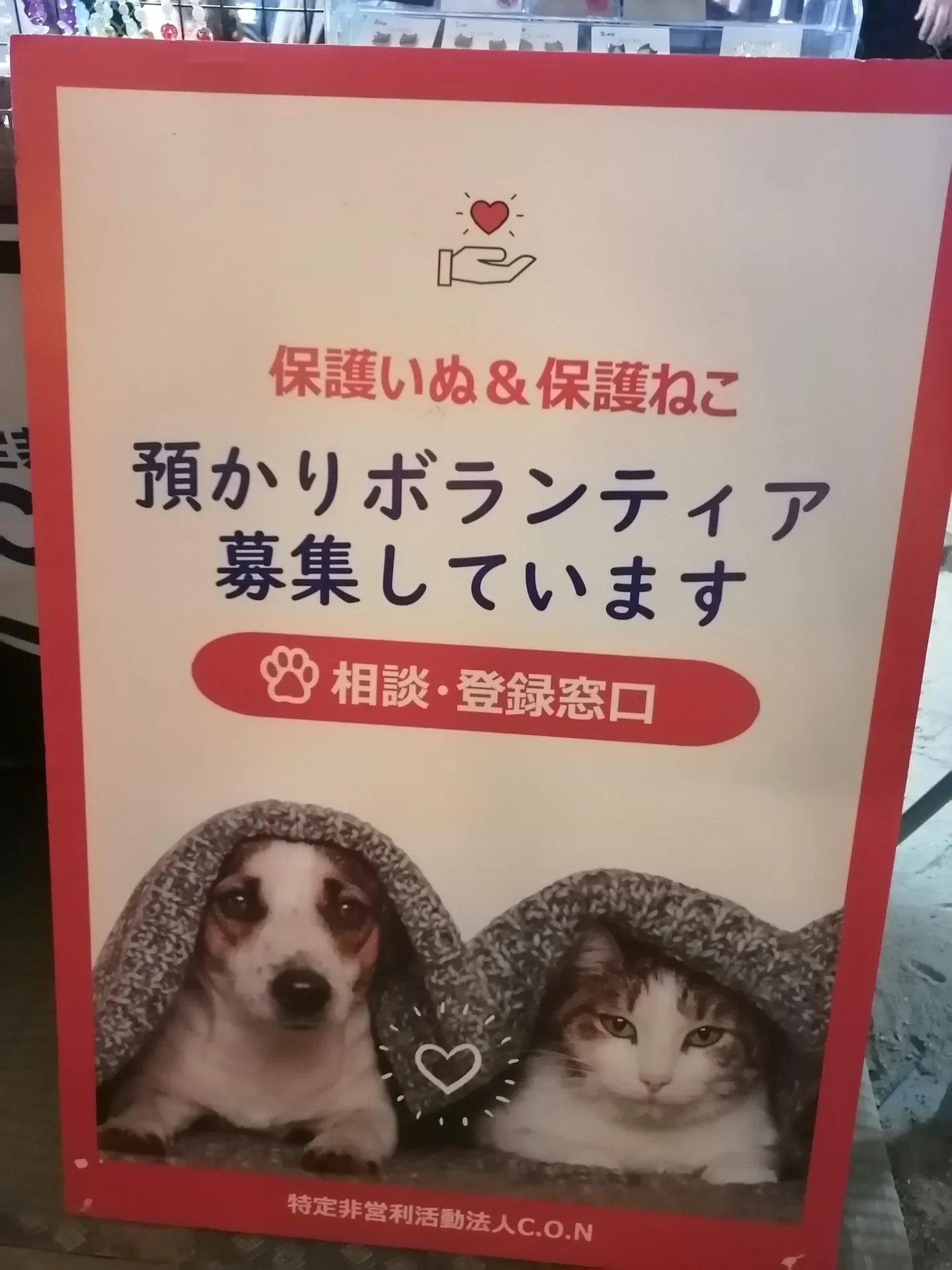 自宅近くのお祭り会場で、「保護猫ふみふみ」のチャリティーグッズ販売がありました。