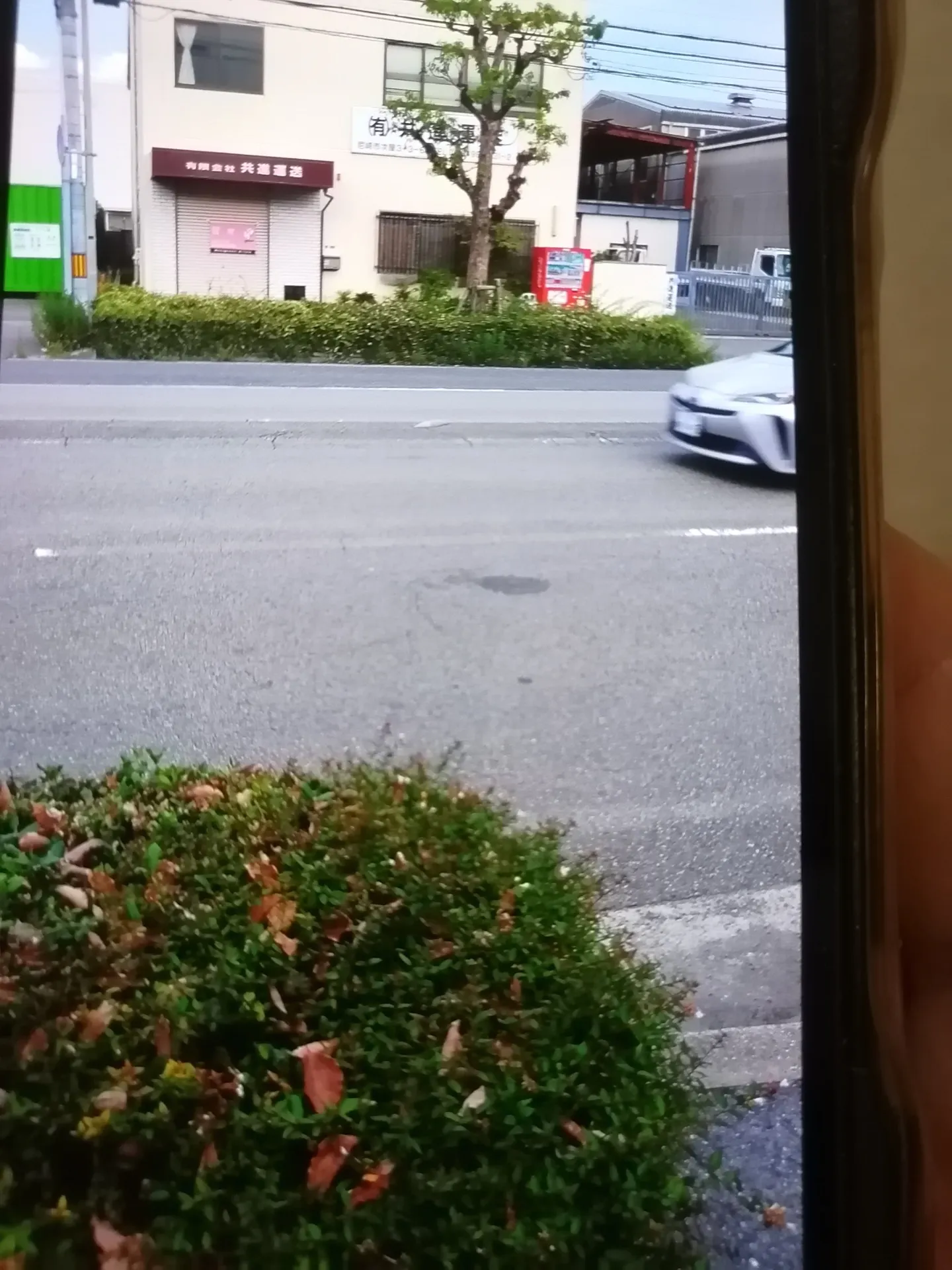 兄が自宅に連れ帰って来た黒猫さん、この黒猫さんの餌やりさんを探しています。