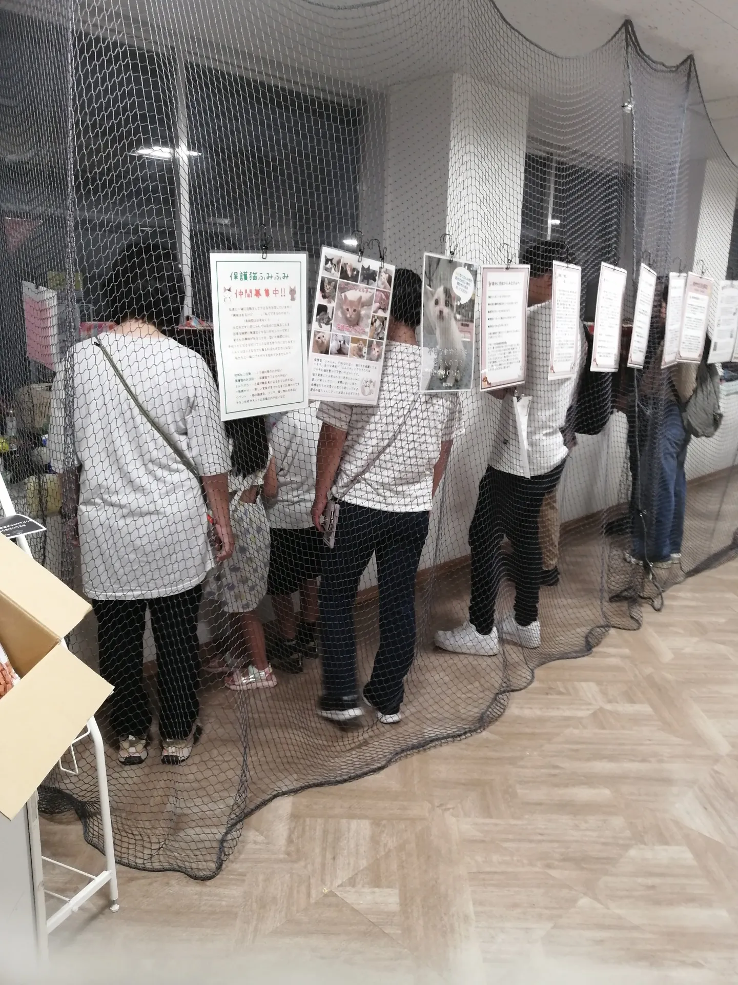 保護猫の出張譲渡会で黒猫さんの情報を募りましたが、まだ手掛かりがありません。