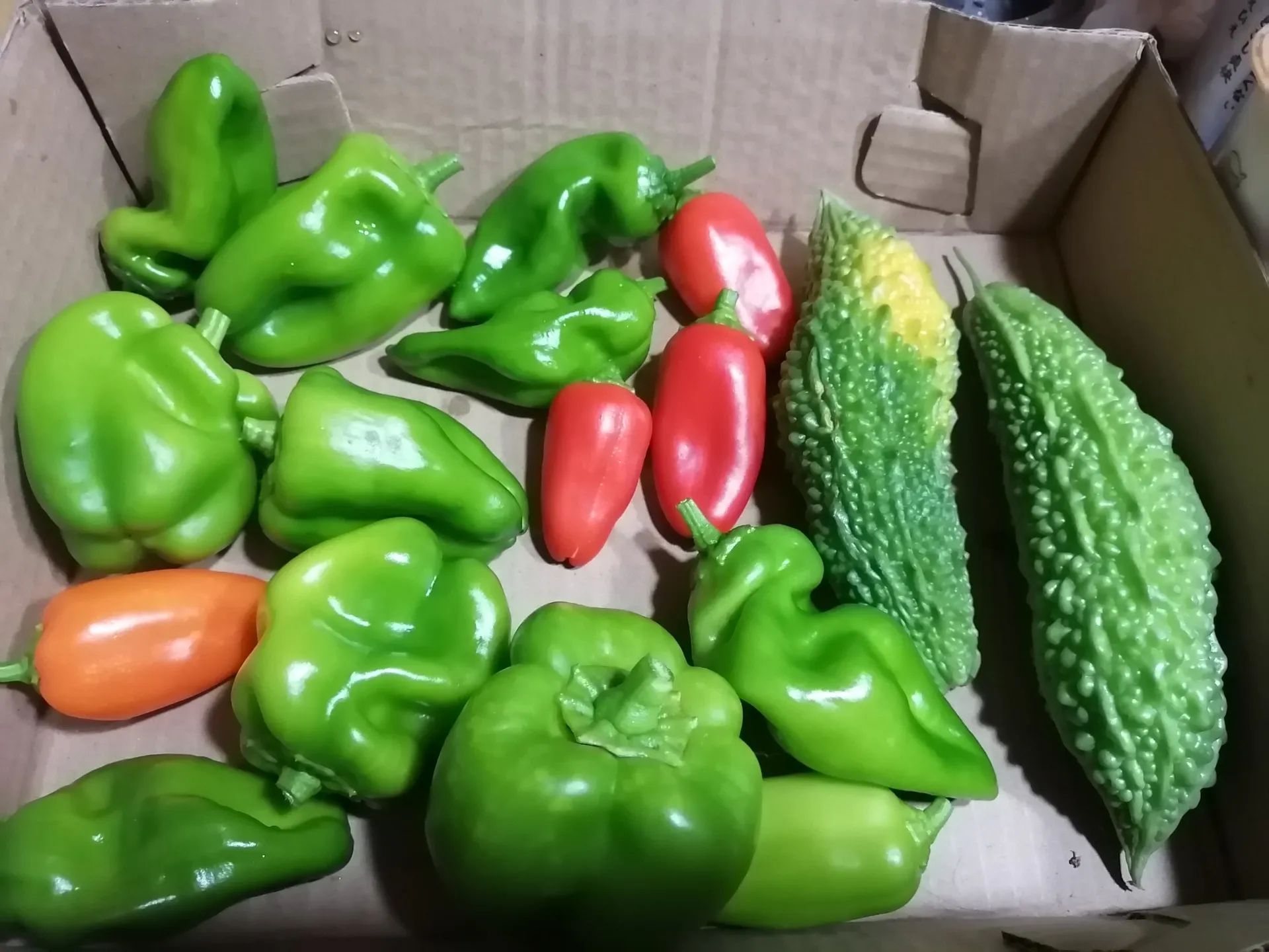 自宅傍の家庭菜園、兄が出張に行ったので水やりやお世話が大変です。