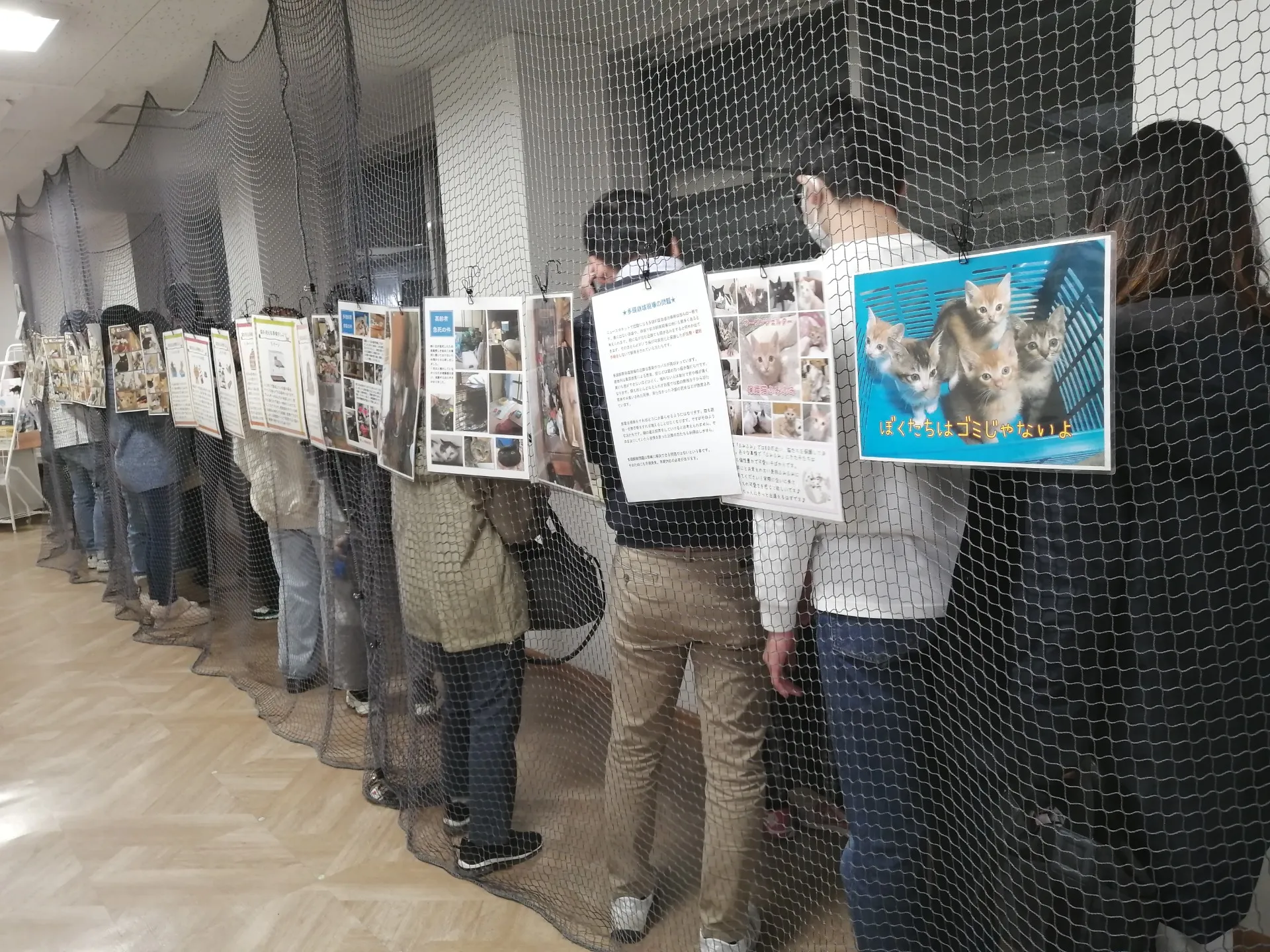 保護猫シェルター「保護猫ふみふみ」の出張譲渡会、幸せキップを見つける旅。