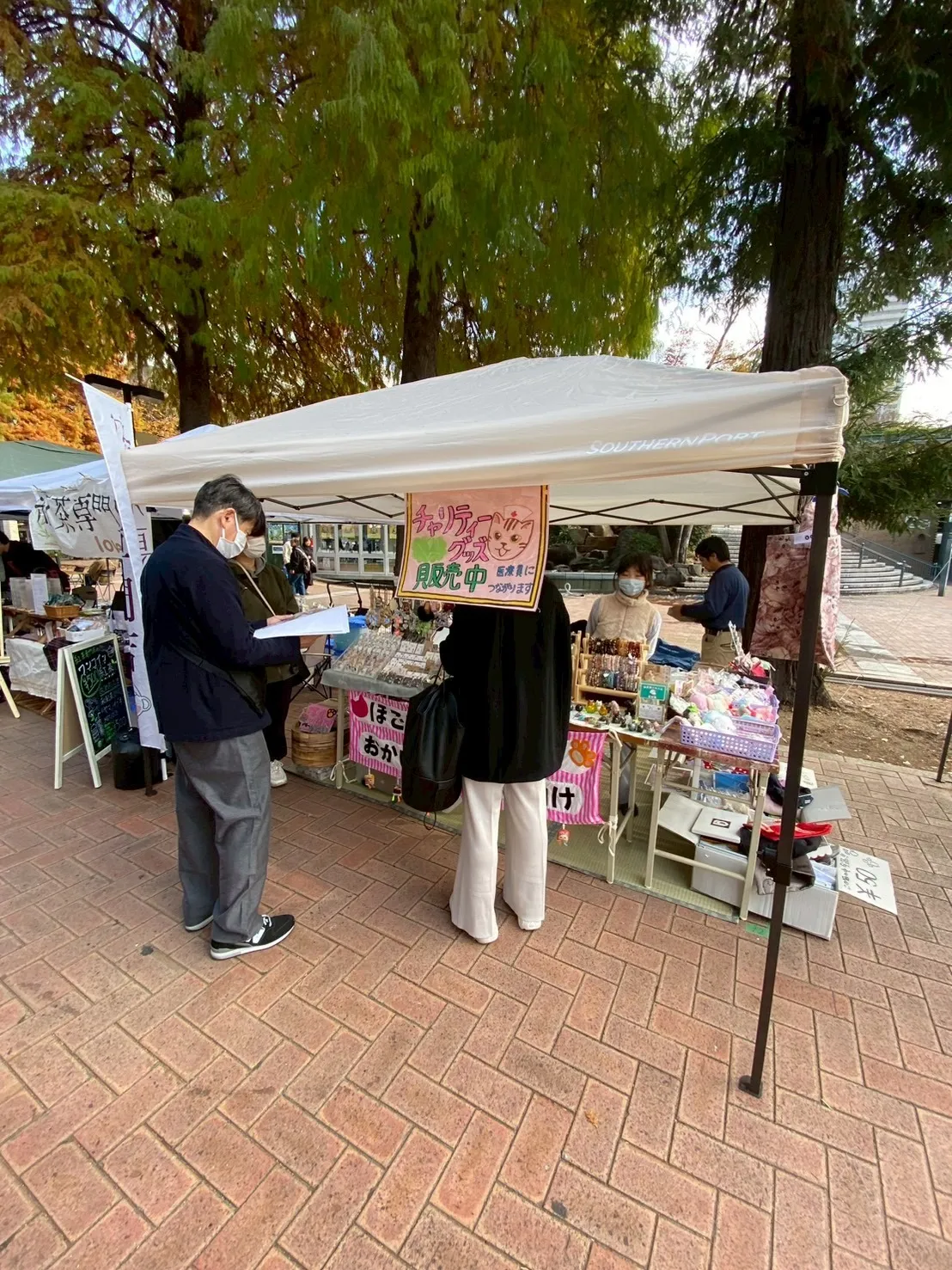 外猫さんに関する個別相談がありましたが助成金がない、何とか解決したい10匹の猫さん達のTNR。②