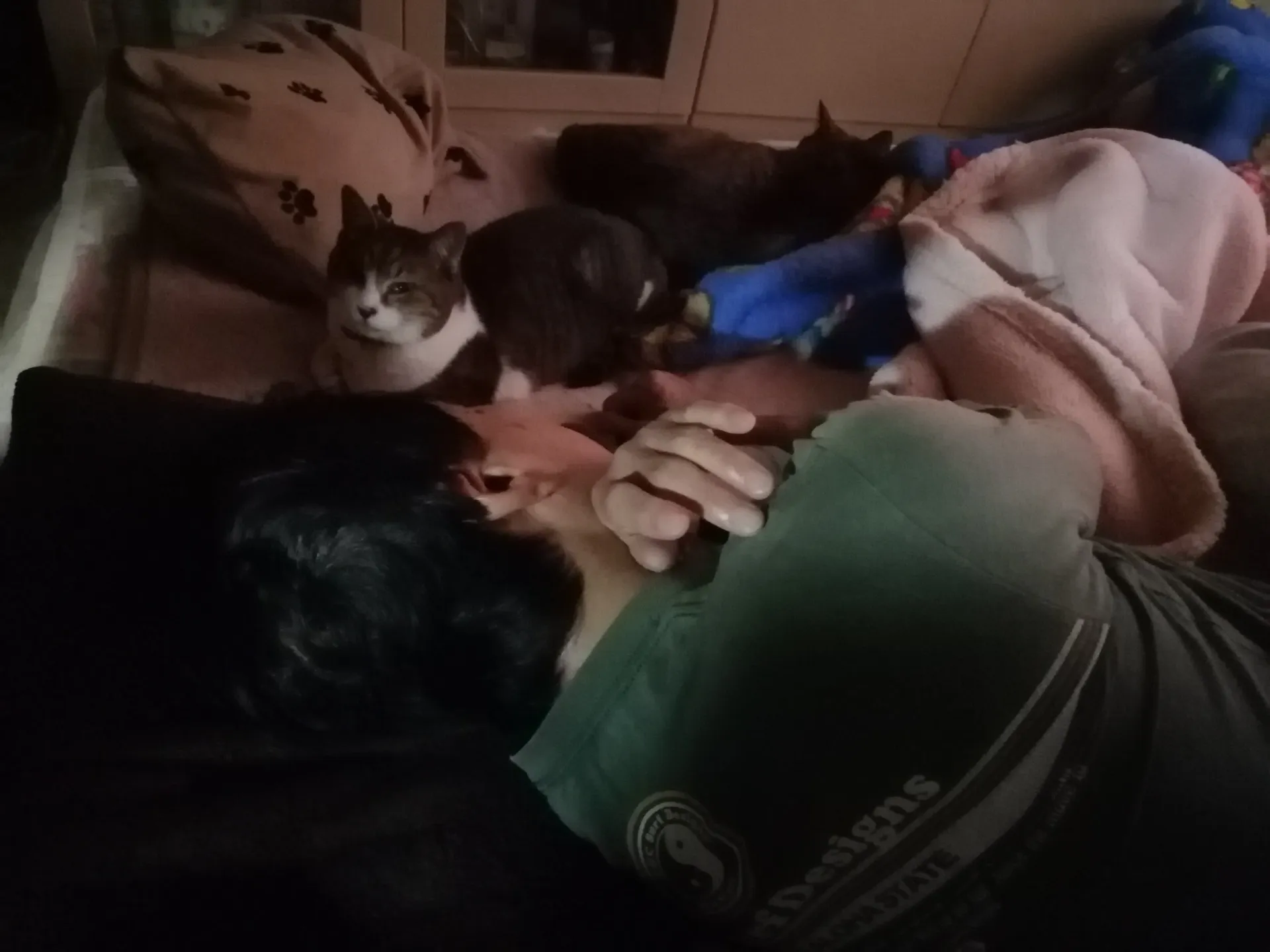 原因不明の体調不良でしんどすぎて自宅から出れない旦那、猫達が寄り添っています。その後...
