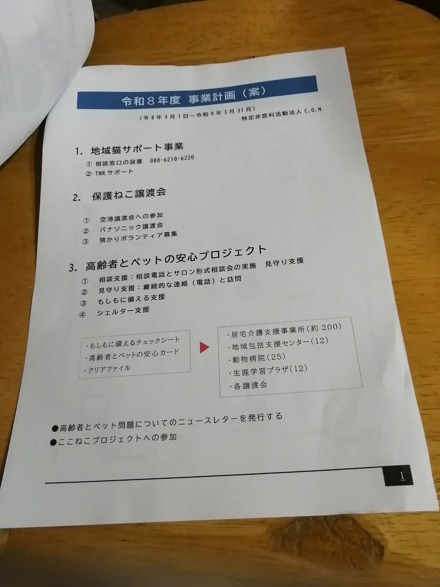 動物愛護NPO法人の総会開催、今年度も保護猫活動に注力をする事になりました。②　と、出張譲渡会があります！
