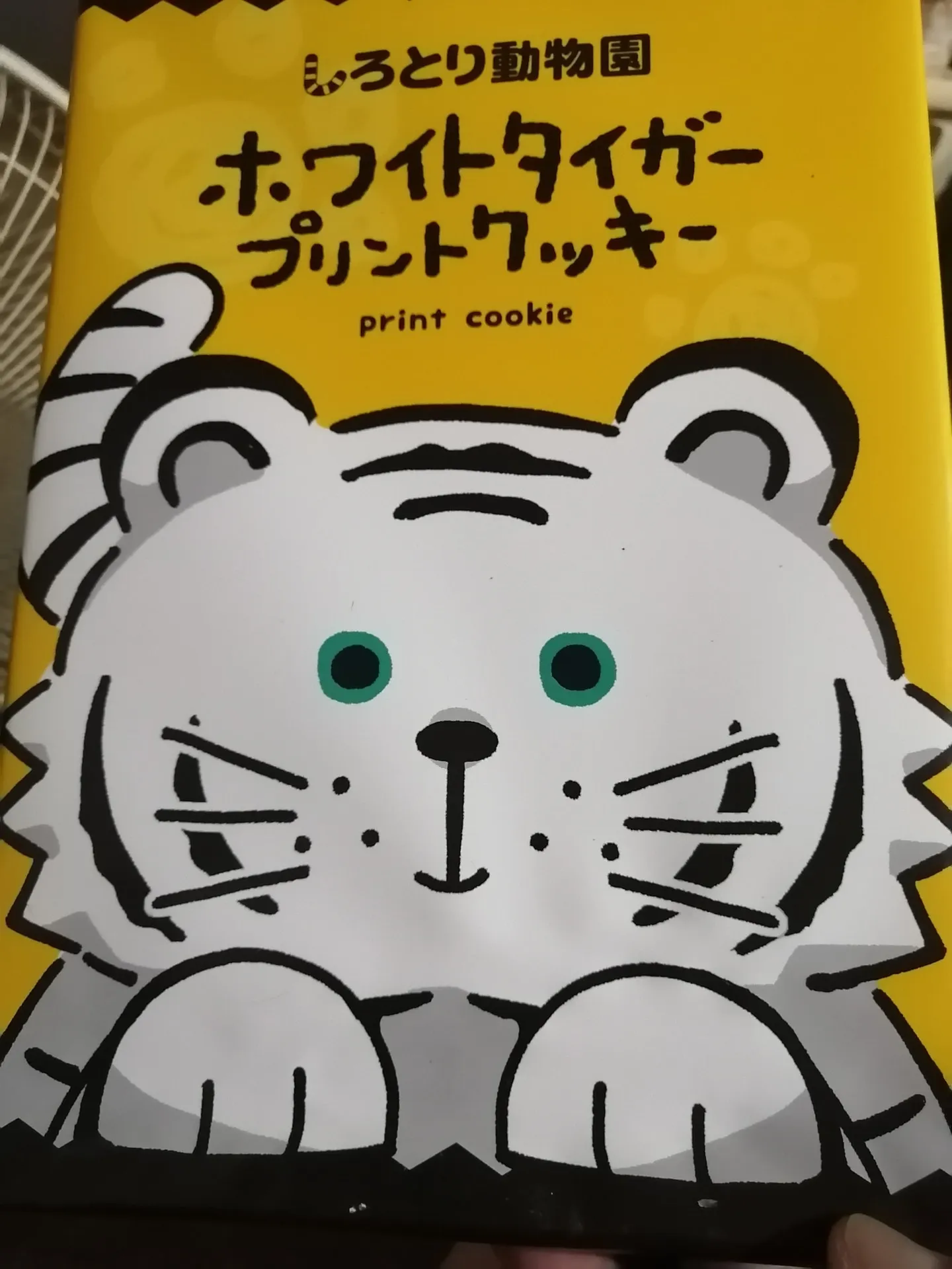 外猫さんの捕獲保護、難航しそうな上に、個別の案件も長引きそうです。⑤