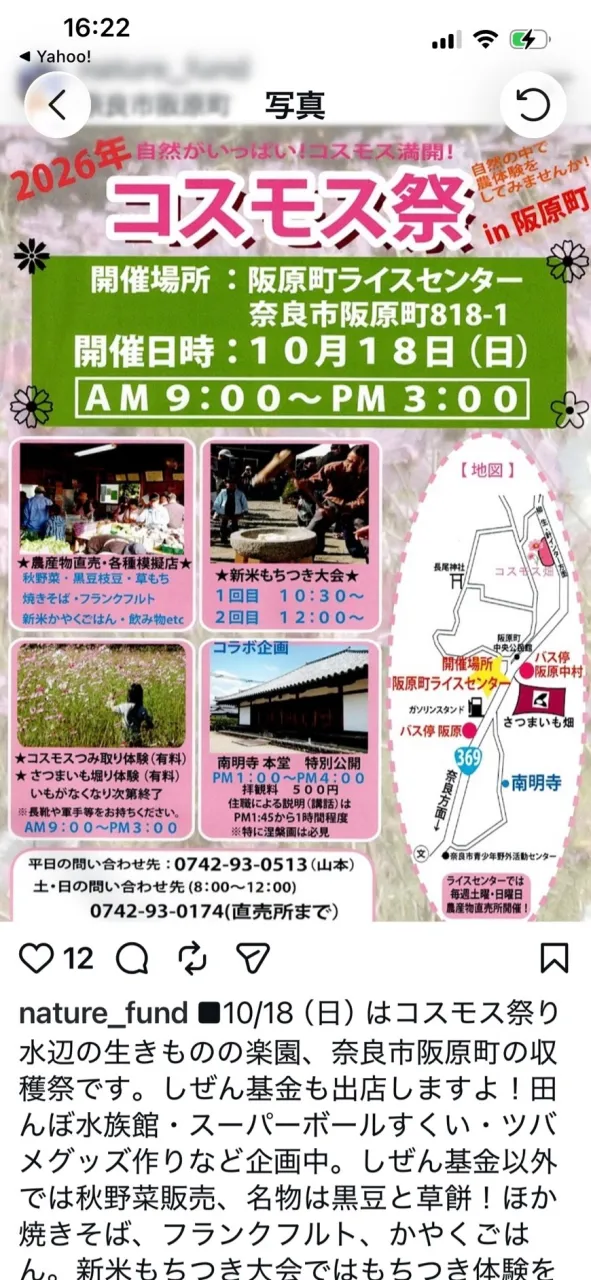 自宅から遠く離れたイベント祭りのお芋掘り、この日も猫達はお留守番です。